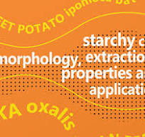 Elsevier Book Cover Design Projects :: Photos, videos, logos ...
