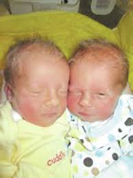 Steuben County Births