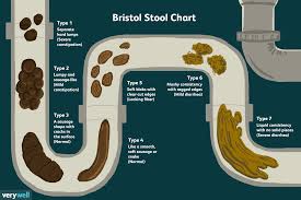 an overview of the bristol stool chart