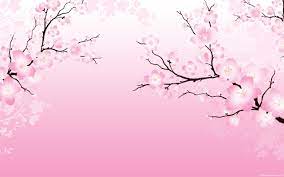 1080x1920 cherry blossom iphone full hd wallpaper. 41 Anime Cherry Blossom Wallpaper On Wallpapersafari