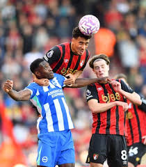 4,000 Afc Bournemouth Brighton Hove Albion Premier League ...