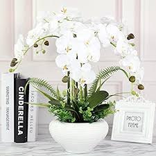 Garden oasis harrison 7 pc. Amazon Com Lighsch Artificial Flowers Fake Orchid Phalaenopsis Bouquet Silk Flower Pot Creative Ceramic Dining Table White Everything Else