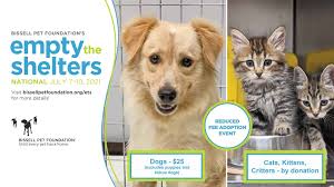 We did not find results for: Home Maui Humane Society