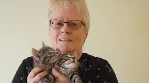 Could you foster a furry (or feathered) friend?