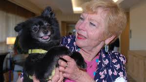 Photos: Paws On The Catwalk fashion show