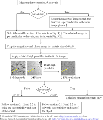 The Flow Chart Of In Vivo Mr Data Post Processing Procedures