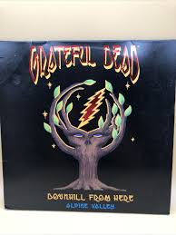 GRATEFUL DEAD: DOWNHILL FROM HERE, ALPINE VALLEY 1989 Laserdisc 2 Disc Set  | eBay