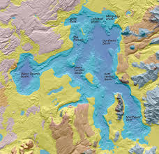 Image result for Natural Yellow 1999 Fleet