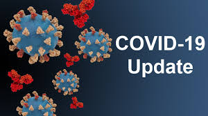 Study In Primates Finds Acquired Immunity Prevents Covid 19 Reinfections Nih Director S Blog