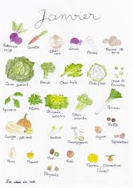 Fruits Et Legumes De Janvier Fruits Et Legumes Fruits Et Legumes De Saison Legumes De Saison