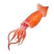 Dah agak lama jugak buat sambal ni, tapi dari ke sari tak dapat masukkan gambar. Buy Brown Squid Sotong Kembang At Giant Hypermarket Happyfresh
