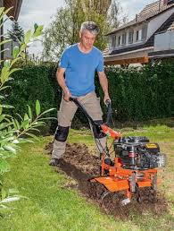 Es Wird Bunt So Legen Sie Eine Blumenwiese An In 2020 Blumen Wiese Blumenwiese Blumenwiese Anlegen