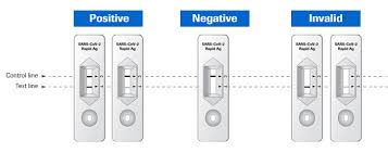 Receiving your results and what to do next what should i do if i don't receive my. Sars Cov 2 Rapid Antigen Test