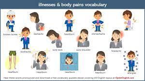 English vocabulary exercises elementary and intermediate level esl. English Illnesses Vocabulary