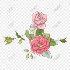 Flower valentine valentine flower valentine flower images valentine flower free picture rose valentine flower s romantic valentine flowers popular tags: Hand Drawn Valentine Flowers Illustration Png Image Picture Free Download 611610333 Lovepik Com