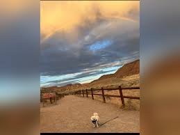 Memories of Lucky Minto