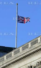 .half a million, new york governor has announced flags will be flown at half mast in his state. Pin On Book