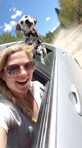 Dalmatian Owners of America