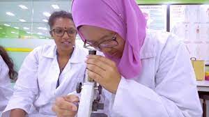 It commenced its business in the same year focusing on their flagship student placement services to indonesia, russia, poland, bangladesh. Eagle Eye Network Holdings Sdn Bhd Youtube