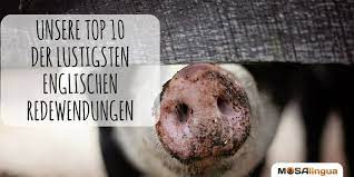 Englische Spruche Unsere Top 10 Der Lustigen Englischen Satze