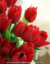 Dreamstime is the world`s largest stock photography community. Animated Beautiful Flower Images Wallpapers