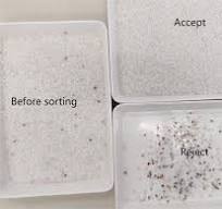 High Speed AI Plastic Pellet Color Sorter Sorting For PP ...