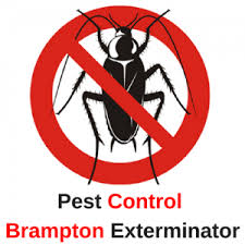 No one has rated or reviewed this business yet! Pest Control Service Pest Control Brampton Exterminator 647 559 1740