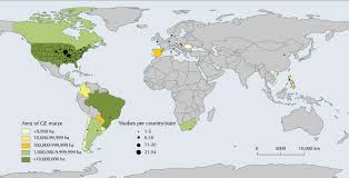 Impact Of Genetically Engineered Maize On Agronomic