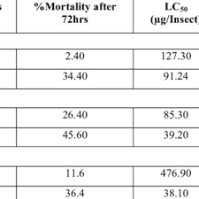 Image result for Bobgunnia