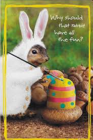 Pin By Carolyn King On Ardillas Squirrel Funny Squirrel Pictures Baby Squirrel