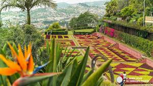 Madeira Portugal Panoramicas Desde El Teleferico De Funchal Madeira Cable Car Www Casadomiradouro Com Www Madeiracasa Com Islande