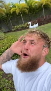 Anthony Homer Jake Paul