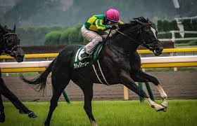 エプソムカップは、日本中央競馬会 (jra) が東京競馬場で施行する中央競馬の重賞競走（giii）である。 寄贈賞を提供するエプソム競馬場（epsom race course）はロンドンから南に約27kmのサリー州エ. ã‚¨ãƒ—ã‚½ãƒ ã‚«ãƒƒãƒ—2019äºˆæƒ³ è¿½ã„åˆ‡ã‚Š èª¿æ•™åˆ†æž å¥½èµ°å‚¾å'ã«åˆè‡´ã—ãŸã®ã¯ è¿½ã„åˆ‡ã‚Š èª¿æ•™ é‡è¦–ã®ç«¶é¦¬äºˆæƒ³ãƒ–ãƒ­ã‚°