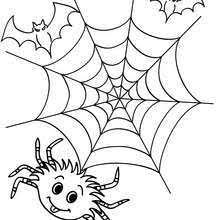 Coloriage D Halloween Toile Araignee A Colorier Si Tu Aimes Le Coloriage D Halloween Toile Arai Coloriage Halloween Toile D Araignee Toile D Araignee Dessin