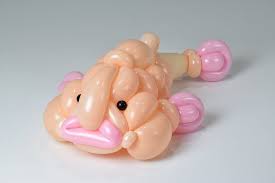 Masayoshi Matsumoto On Twitter Balloons Balloon Animals Blobfish