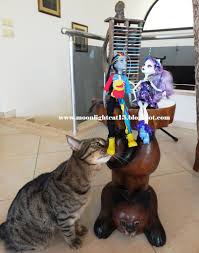 Monster High Bebik Monster High Monster High Bebekleri Kedi