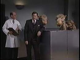 Saturday night live ron howard (host), andy griffith, and the clash (. October 19 1996 Bill Pullman New Edition S22 E3 The One Snl A Day Project