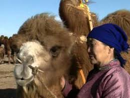 It was released internationally in 2004. Story Of Weeping Camel By Shopwatchbuy