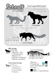 Schnolf Size Chart By Tanidareal Fur Affinity Dot Net