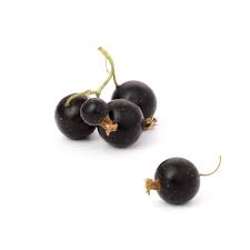 By characteristics or by cultivar name. Blackcurrants Fruit