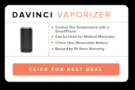 Best Portable Dry Herb Vaporizers 2021 Update Observer