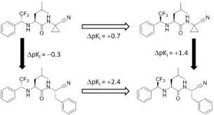 With two bonding pairs and two lone pairs, the oxygen atom has now completed its octet. Synthesis And Structure Activity Relationship Of Nitrile Based Cruzain Inhibitors Incorporating A Trifluoroethylamine Based P2 Amide Replacement Sciencedirect
