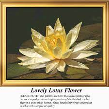 Lovely Lotus Flower Fl 37 Grafico Ponto Cruz