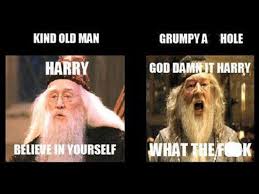 Book Vs Movie Dumbledore Harry Potter Love Dumbledore Harry Potter Obsession