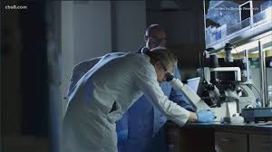 Is this uk strain so infectious it broke through our normal protocols? Covid 19 Variant Detected In San Diego Cbs8 Com