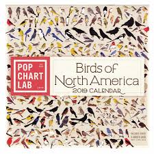 Pop Chart Lab Birds Of North America 2019 Wall Calendar