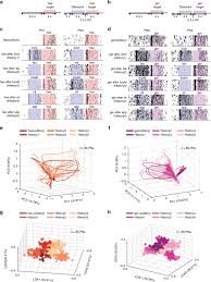 Dynamic Contrast Enhancement And Flexible Odor Codes Nature Communications