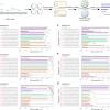 Cpf1, an endonuclease of the class 2 crispr family, fills the gaps that were previously faced in the additionally, cpf1 allows for multiplexed genome editing, as a single crrna array transcript can target. 1