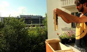 Wir geben einen leitfaden, wie es mit der bienenhaltung im kleingarten klappt. Bienenbox Gib Bienen Ein Artgerechtes Zuhause