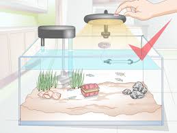 How To Set Up A Community Fish Tank 10 Steps With Pictures